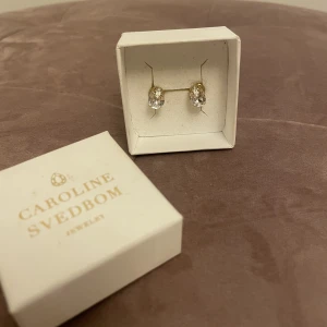 Örhängen Svedbom  - Superfina örhängen i guld/kristall från Caroline Svedbom i jättebra skick! Nypris: 395. Mitt pris: 250kr💞💞
