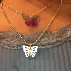 Halsband fjäril