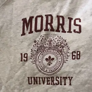 Morris tröja oversize storlek M väldigt fin.