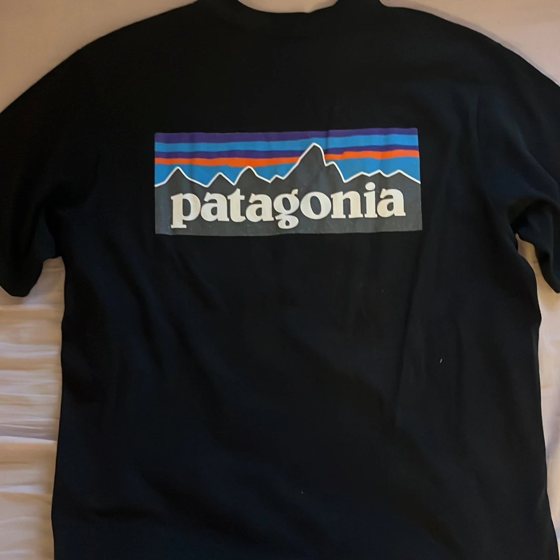 Patagonia t-shirt - 90