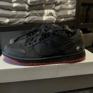 Dunk pigeon  - Inga skador, rep box medföljer 