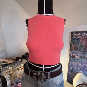 Söt Topp - Söt topp från Zara - knappt använd! 