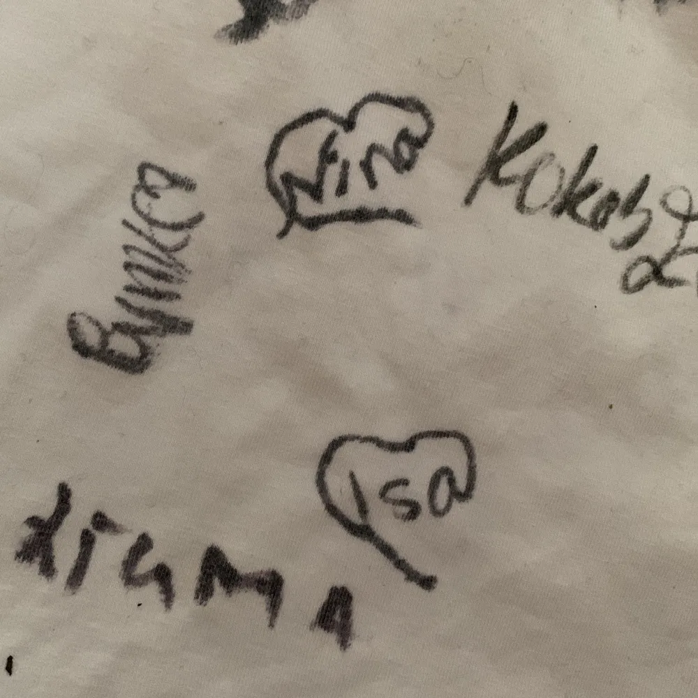ÄKTA autograf tröja som jag fått skriven på ”heyo” / nattid, louise, Johanna, fam arcombe, nina, kokosellen, bvme?, liama?, isa, disen, julia, två till. Toppar.