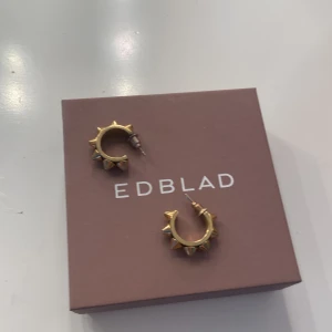 SÖKER SILVER!!!  - SÖKER SILVER EDBLAD ÖRHÄNGEN!!. Kan även tänka mig att sälja.