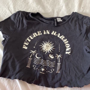Croptop med tryck  - Trycket är lite slitet för den har tvättas mycket. Den är lite stor för att vara S. Har haft den i 1 år men det finns inte några hål eller lösa trådar eller likande. 