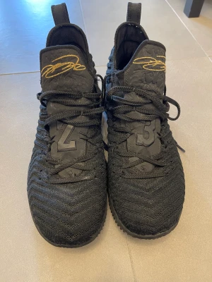 Lebron 16  - Det är Lebron 16 jag har använt den några gånger, men nu spelar jag inte basketboll längre, därför tänkte jag sälja dem. Jag köpte dem från Footlocker.
