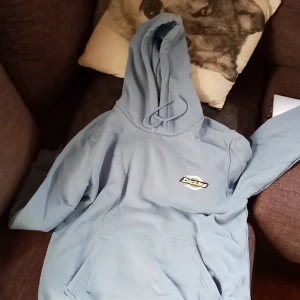 Dickes - Jag säljer en dickes hoodie då jag inte gillar färgen för mer info kontakta mig 