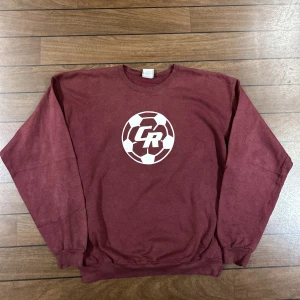 Champion CR Sweatshirt  - Snygg vintage Sweatshirt i storlek L! Bara att skriva om du undrar över något🙏