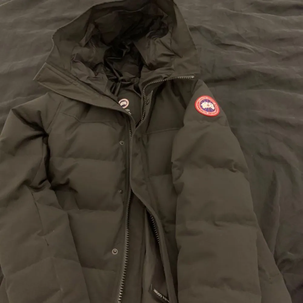 Canada Goose vinterjacka använd i 1 år bara så den, är helt fräsch och inga skador eller något på den. Storlek small köpt för 13,699kr. 9700 kr ingen byten.. Jackor.