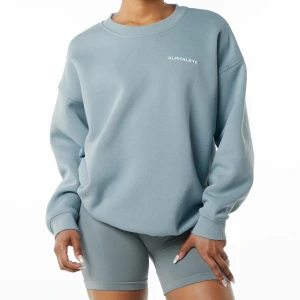 Alphalete sweatshirt  - Alphalete sweatshirt i färgen ”Fog Blue”. Endast använd en gång. Har dock två fläckar som syns i vissa ljus, går säkert bort med vanish eller liknande för den som orkar. Nypris är ca 750kr plus frakt och tull