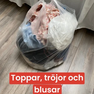 Tröjor toppar blusar - En påse full med toppar, tröjor och blusar. Bra skick. Allt för 250kr + frakt. Värde + 5000kr. 