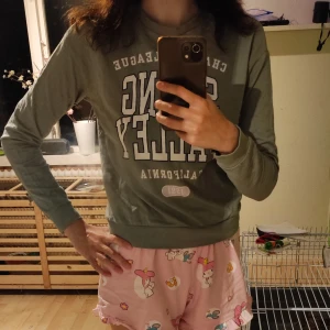 Enkel blus med långa ärmar - Enkel grön blus med långa ärmar.  Använd men i mycket bra skick (som ny).  Även om etiketten visar storlek XS kommer de att kunna bära dessa blusar med storlek S utan problem.