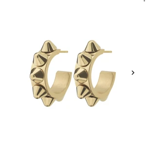 EDBLAD ÖRHÄNGEN!  - Superfina o trendiga örhängen från Edblad!  I jättebra skick med box och allt kvar , som man får med när man köper💘