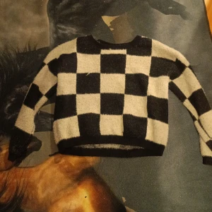 Svartvit rutig stickad tröja från Kappahl - Säljer en stickad tröja från Kappahl med stort svartvitt rutmönster. Tröjan har rund halsringning och långa ärmar. Perfekt för dig som gillar en trendig och bekväm stil.