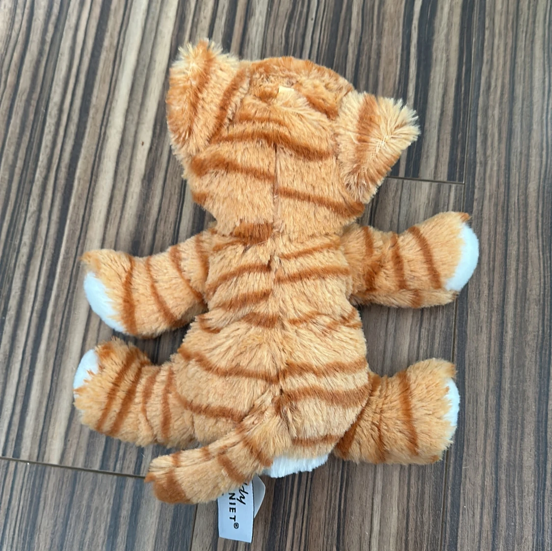 Gul gosedjurs katt - 1