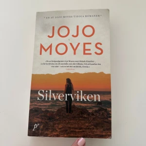 Silverviken - En varm och gripande roman om kärlek, valar och att hitta hem. Följ Liza och hennes dotter i en liten kuststad i Australien där livet förändras när en främling dyker upp. Perfekt för dig som gillar känslostarka berättelser och vackra miljöer.