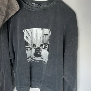 Mörkgrå sweatshirt med hundtryck Stradivarius - Cool mörkgrå sweatshirt från Stradivarius med ett svartvitt tryck av en fransk bulldog och texten 'Keep Life Simple' på bröstet. Tröjan har rund hals, långa ärmar och ribbade muddar. Perfekt för en chill och avslappnad stil. Har en liten fläck och knappt använd