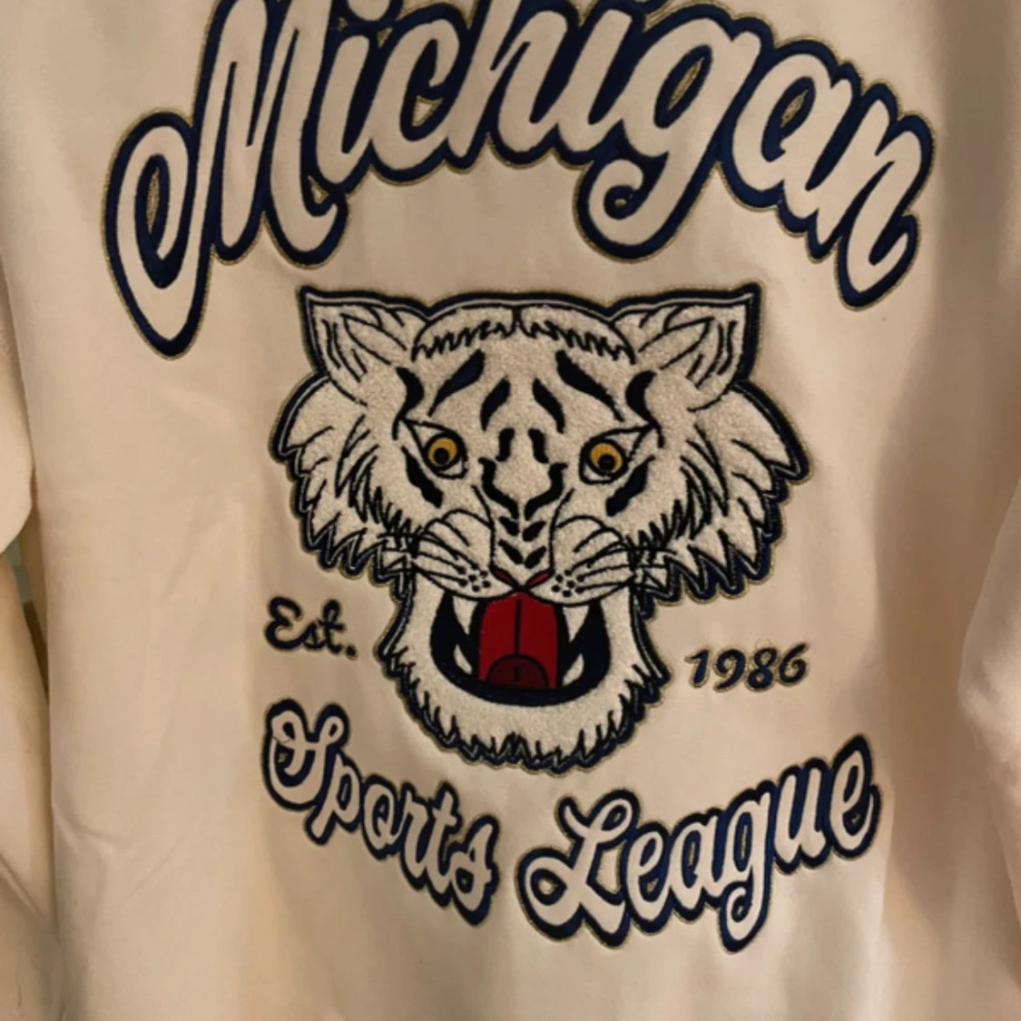 Beige Michigan sweatshirt från H&M Divided - 1