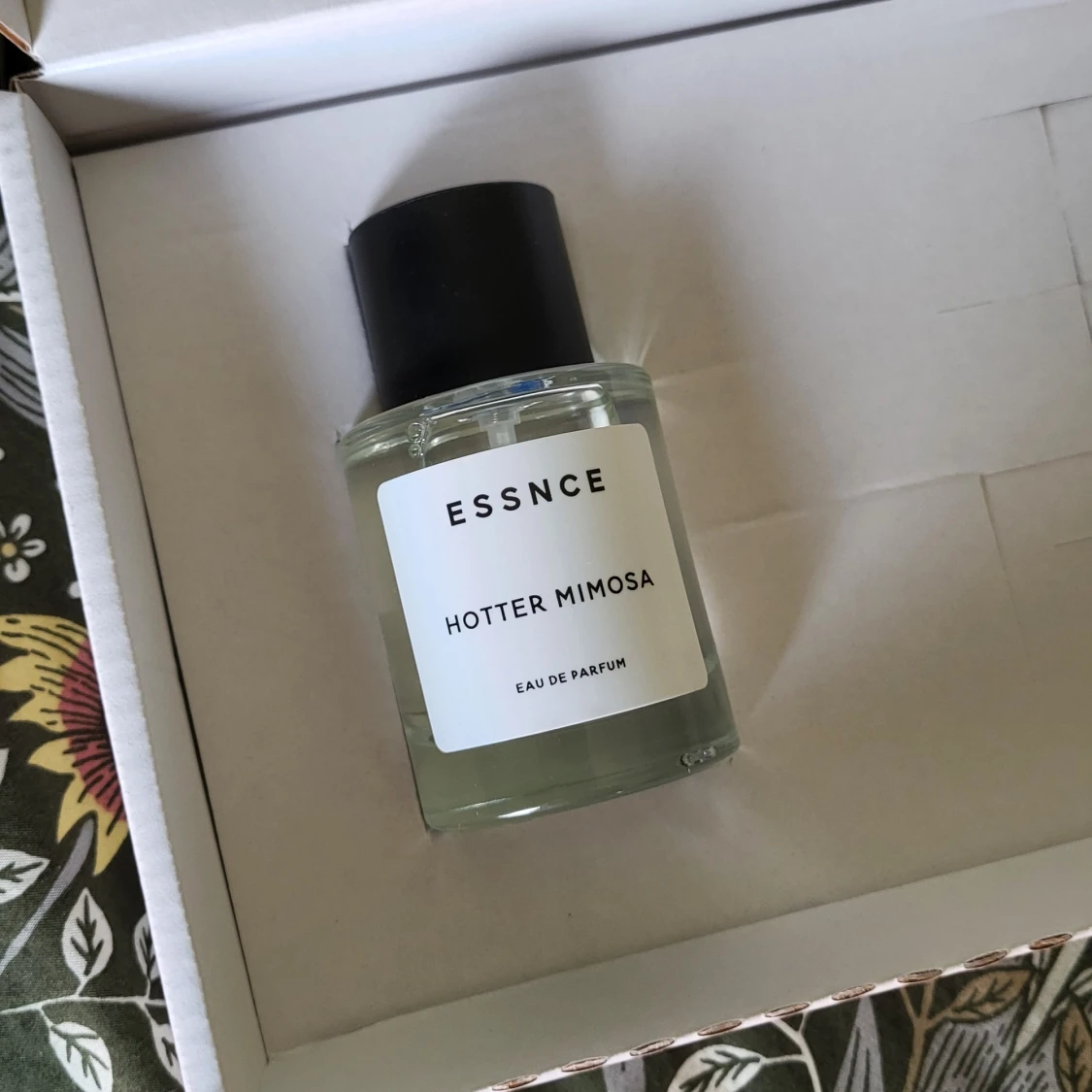 Hotter Mimosa - Essnce