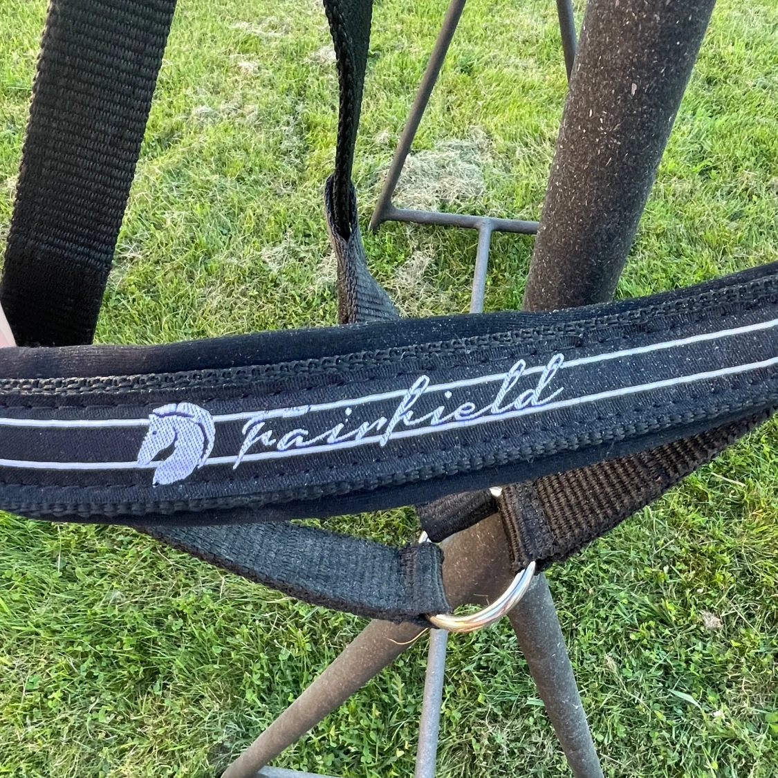 Svart grimma från Fairfield COB - 2