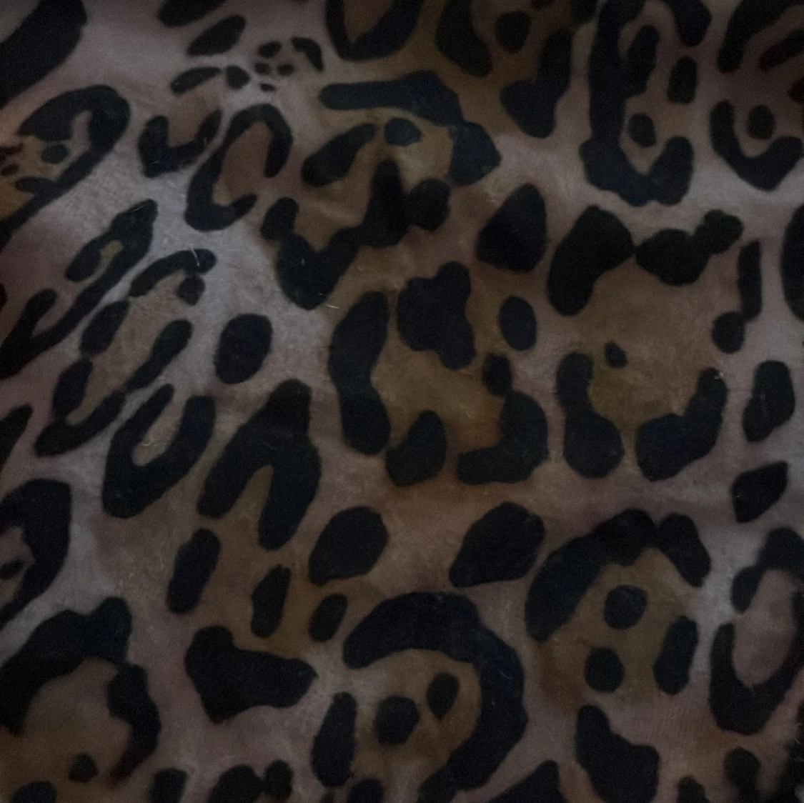 Leopardmönstrad bandeau tubtopp - 1