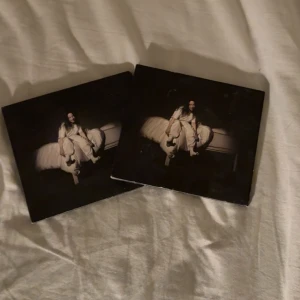 CD skrivit 2-pack Billie Eilish - Billie Eilish CD skivor 2-pack. Köpta ifrån store.billieeilish.com. Ena följde med i en mystery box, därav har jag två. Endast använda som dekorationer. Lyrics och text finns i CD fodralet. Albumet WHEN WE ALL FALL ASLEEP WHERE DO WE GO?