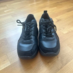 Svarta chunky sneakers med snörning - Svarta sneakers med chunky sula och klassisk snörning. Skorna har en mix av skinn och mocka, vilket ger en snygg kontrast i material. Rund tå och platt sula gör dem bekväma för vardagsbruk. Perfekta för dig som gillar en stilren och modern look.