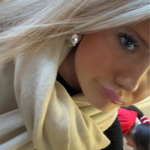 Silvriga örhängen ringar  - Silvriga örhängen som är ringformade 