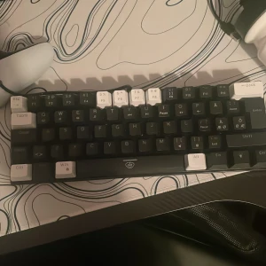 Svart och vit mekaniskt tangentbord - Säljer ett stilrent mekaniskt tangentbord i svart och vitt. Tangentbordet har en kompakt design med vita tangenter för funktionstangenterna och svarta för bokstäverna. Perfekt för gaming eller kontorsarbete. Ansluts via kabel red switch.