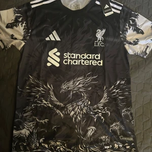 Liverpool FC Fotbollströja - Säljer en Liverpool FC fotbollströja i storlek M som är helt ny med prislapp