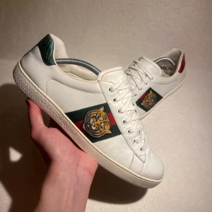 Gucci Ace - Gucci Ace me tigrar - size 43 - skick 9/10 - ingår skorna - nypris 6000kr, mitt pris 2390kr - STEAL 🐅