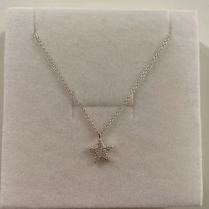 Silverhalsband med stjärnhänge - Ett jättefint vitt guld halsband med en sjärna men små diamanter i😻helt oanvänt pågrund av att jag är guldperspn tyvärr😿 råsttfritt!