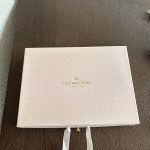 Smyckeskrin från Lily and Rose - Plats för både halsband, armband, ringar och örhängen. Fint skick förutom att utsidan (både ovan- och undersida är lite repiga. Finns även två fuktfläckar på ovansidan som syns på bild. Smycken ingår inte. Kostar 900 nytt men vet inte om det säljs längre