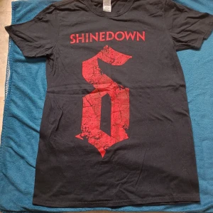 Shinedown T-shirt - Har aldrig används, så den här i nyskick. Mått: längd = 72,5 cm och bredd = 48 cm.