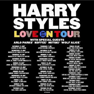 Säljer 2 biljetter till Harry styles konserten 29/6. Onumererade ståplatser Entré V. BRA PRIS💥