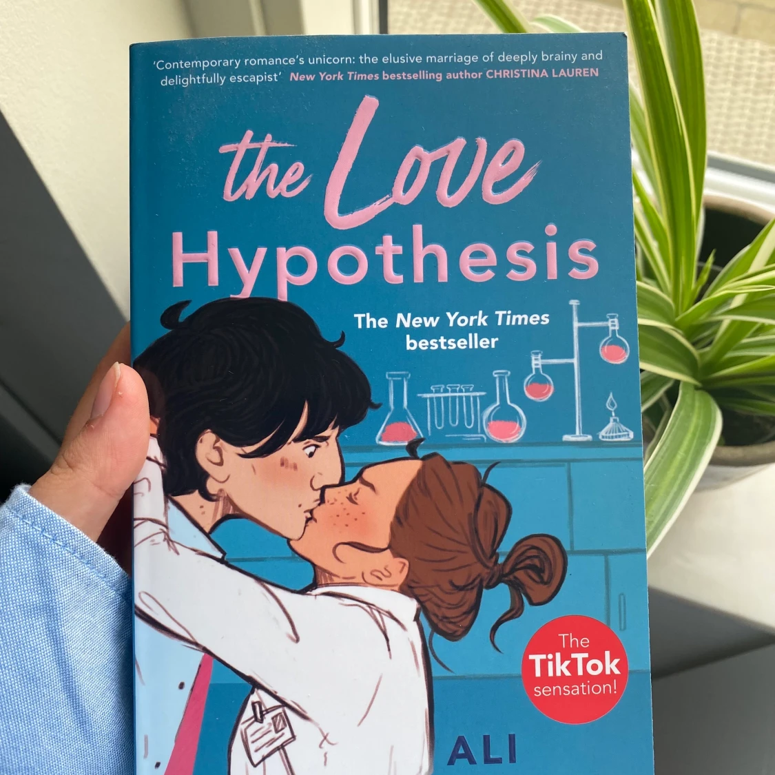 the love hypothesis bok