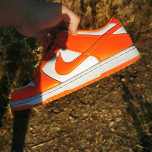 Dunk suracruse 42.5 - Köpta för 2 år sedan, använda men inga skador bra skick. Medföljer vita skosnören och låda. Kvitto finns