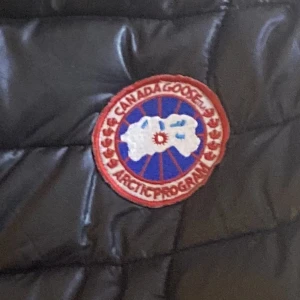 L/M - Väst Arctic program svart