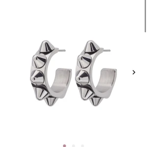 Edblad  - Säljer mina fina Edblad örhängen för dom inte kommer till användning längre! Jätte fint skick är dom nya ( dom tvättas såklart jätte noggrant innan jag säljer)❤️