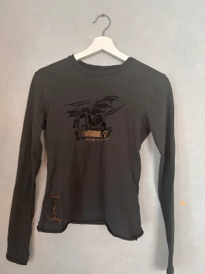 Långärmad topp med drake - Så fin långärmad topp med en drake på! Köpt second hand och är så fin! Har sömmar i brun färg som får tröjan att se så cool ut! Aldrig använd. Skriv privat för bild på💋🫶🏼