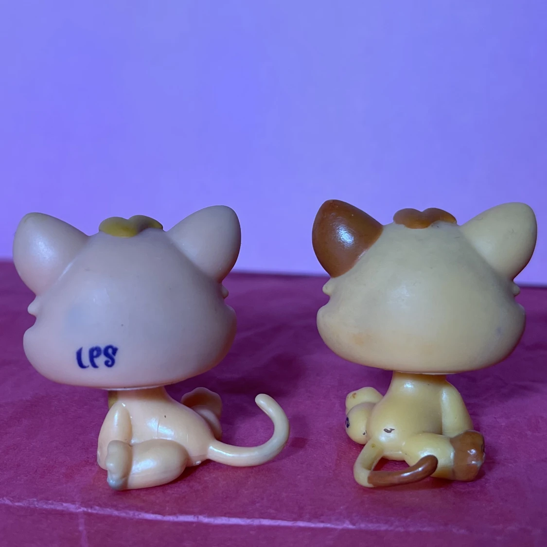 Littlest pet shop Kattungar #2020 #2414 med tillbehör  - 90