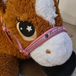 Grima - En rosa grima från fairfield köpt på hööks i shettis storlek. Har använts några gånger. Tvättas innan den postas eller hämtas upp❤️