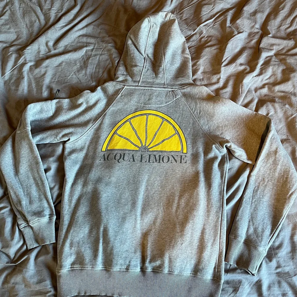 Grå hoodie från Aqua Limone i storlek M. Tröjan är inte använd så många gånger och den är i bra skick. Nypris ca 1100 kr.. Hoodies.