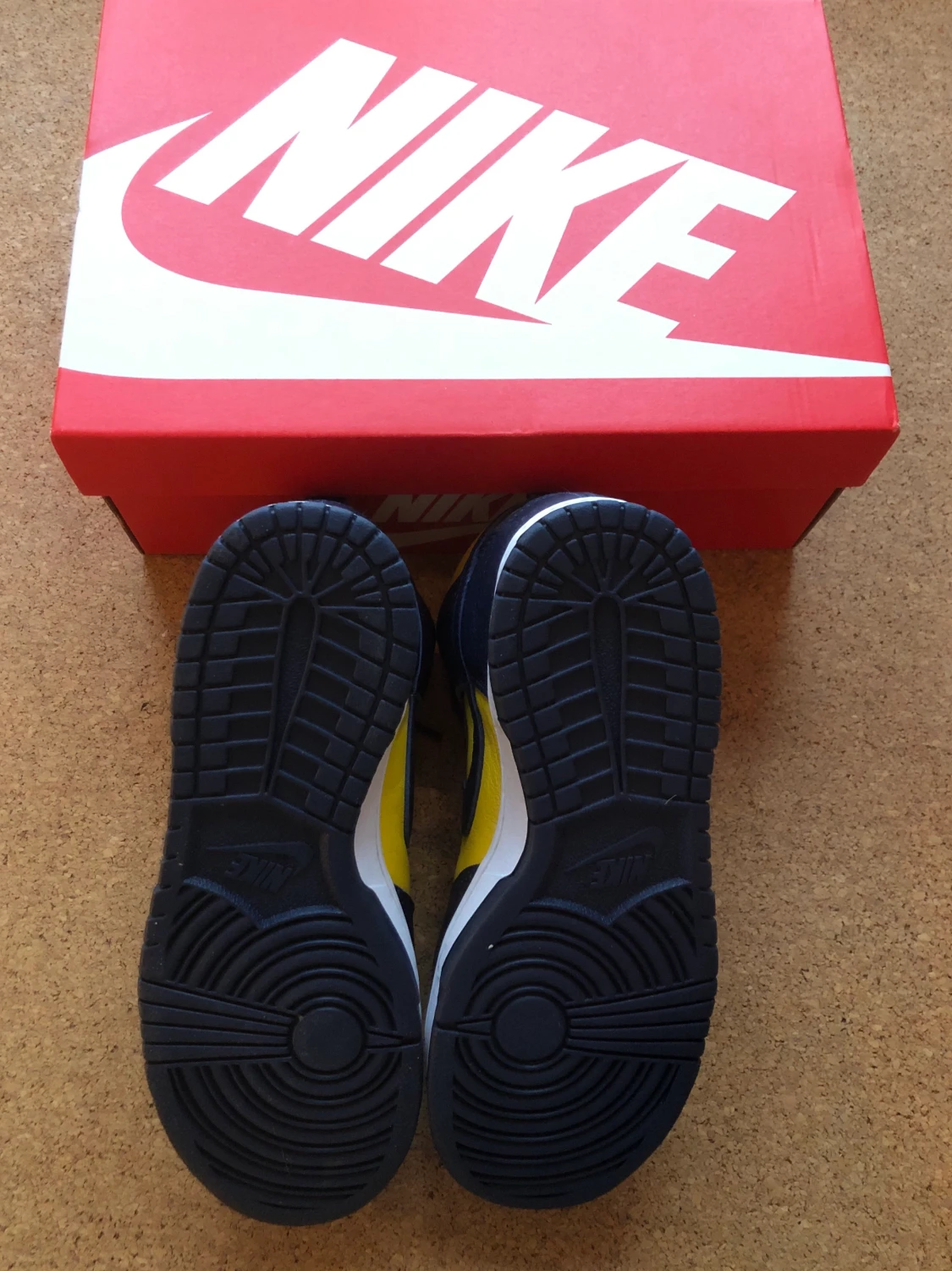 Nike Dunk Michigan - 90