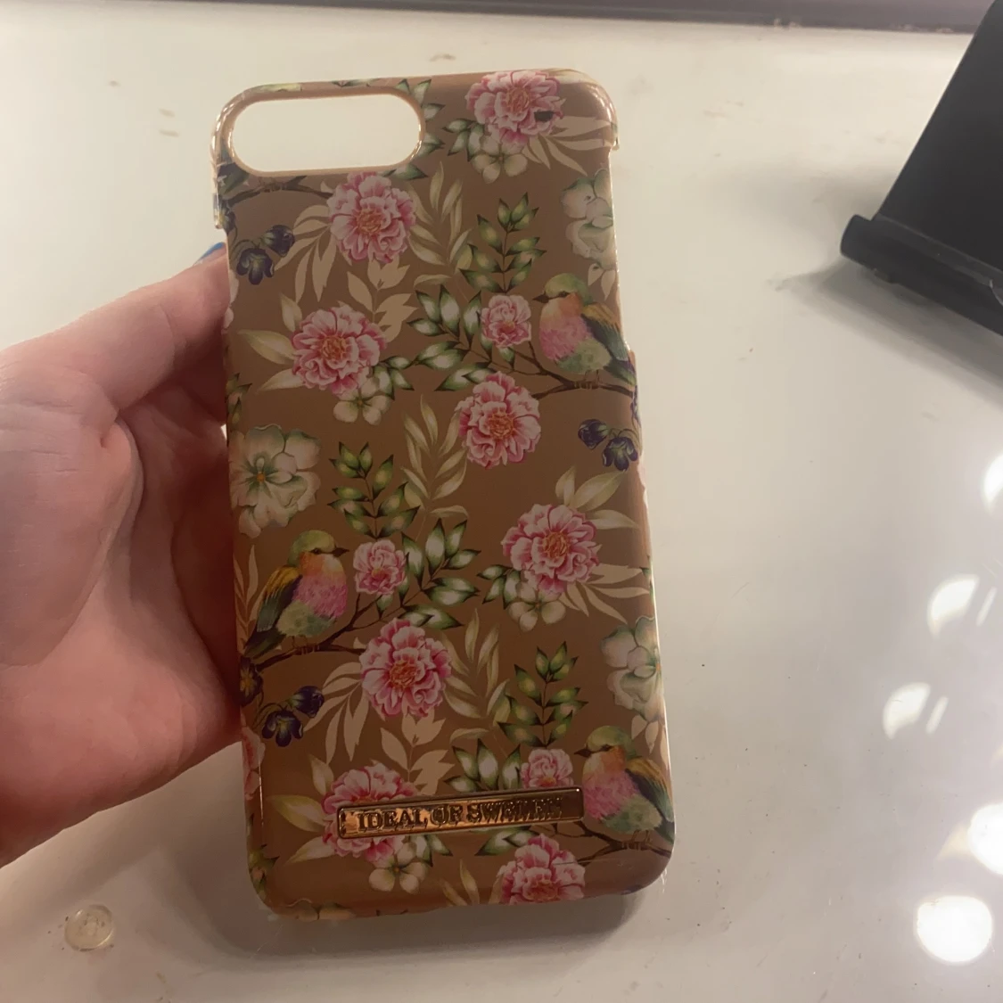 Ideal of Sweden skal