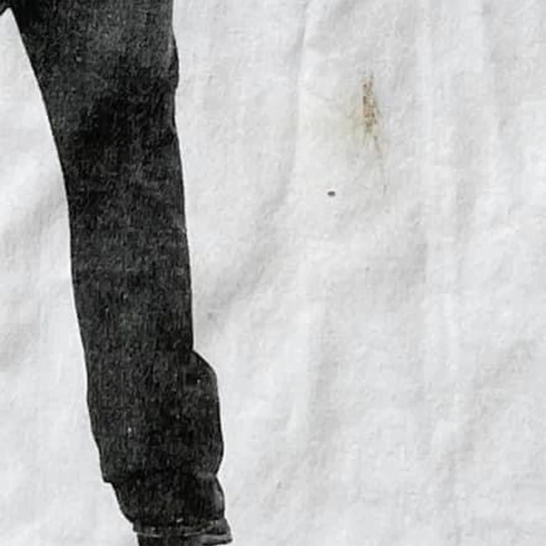 Acne Studios Tote bag - 91