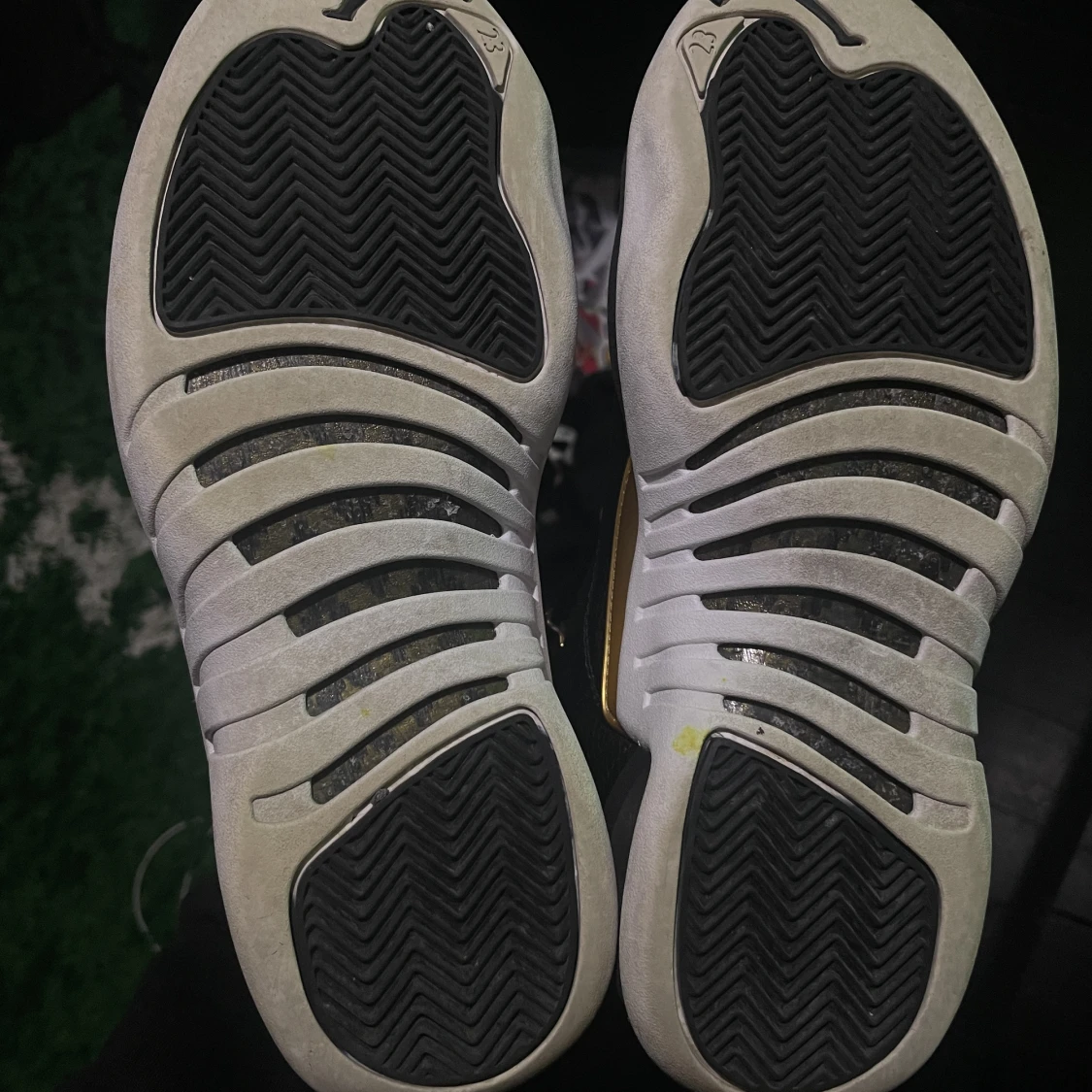 jordan 12 W reptile - 91