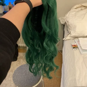 Peruk  - Grön peruk, har inte använt den endast testad. Har inte använt nå produkter på den.  För när man vill piffa upp sig lite  Nypris 170kr