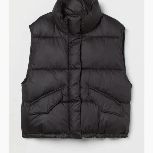 Dunväst - En jättefin dunväst från H&M. Använd kanske 2 gånger, så i nyskick❤️‍🔥