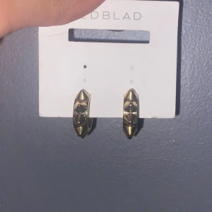 Ed blad nit örhängen  - Helt oanvända nit örhängen Från Edblad i guld.  Kan tänka mig byta ut mot silvriga❤️ Buda privat!  Högsta budet:230